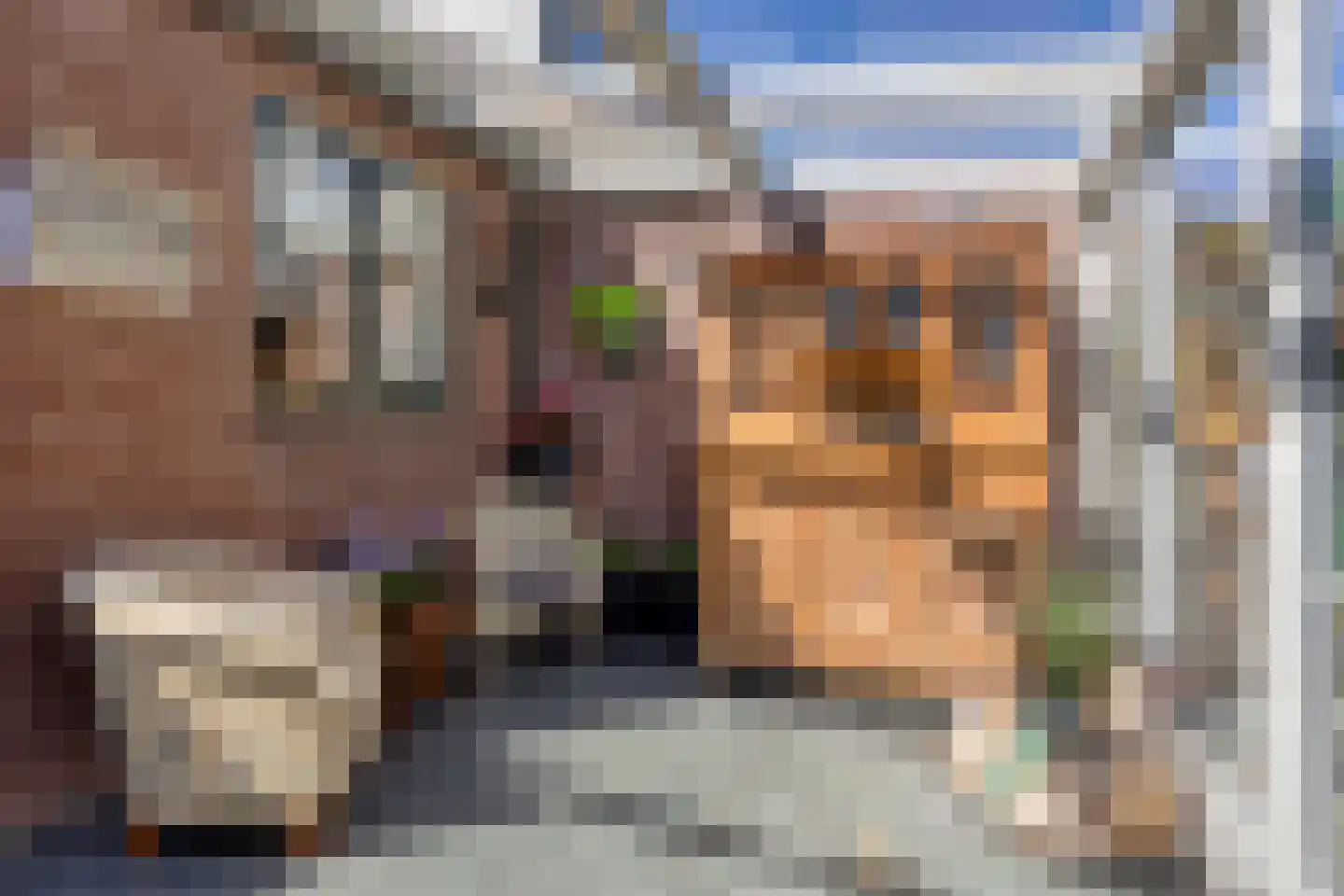 Brederodestraat 30 Castricum thumbnail 14