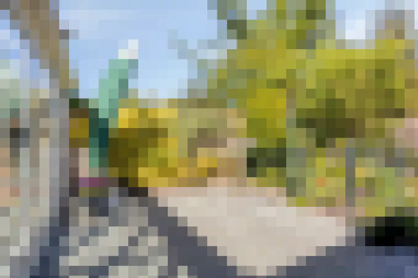 Brederodestraat 30 Castricum thumbnail 18