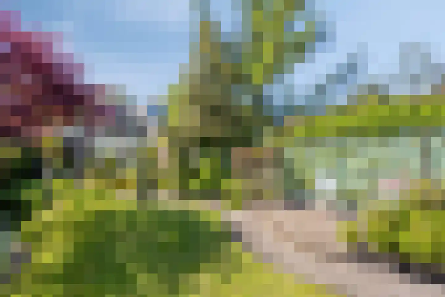 Brederodestraat 30 Castricum thumbnail 21
