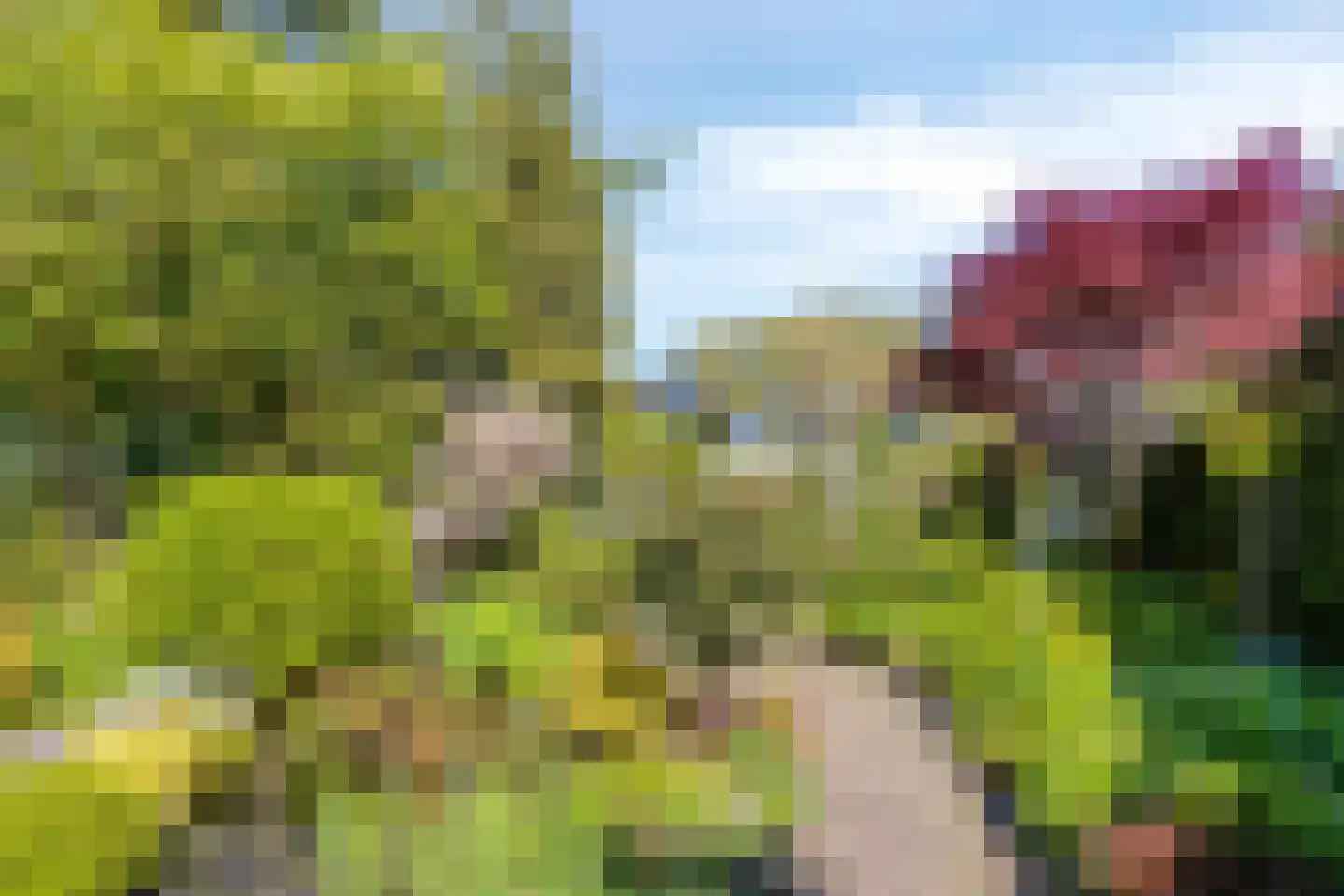 Brederodestraat 30 Castricum thumbnail 23