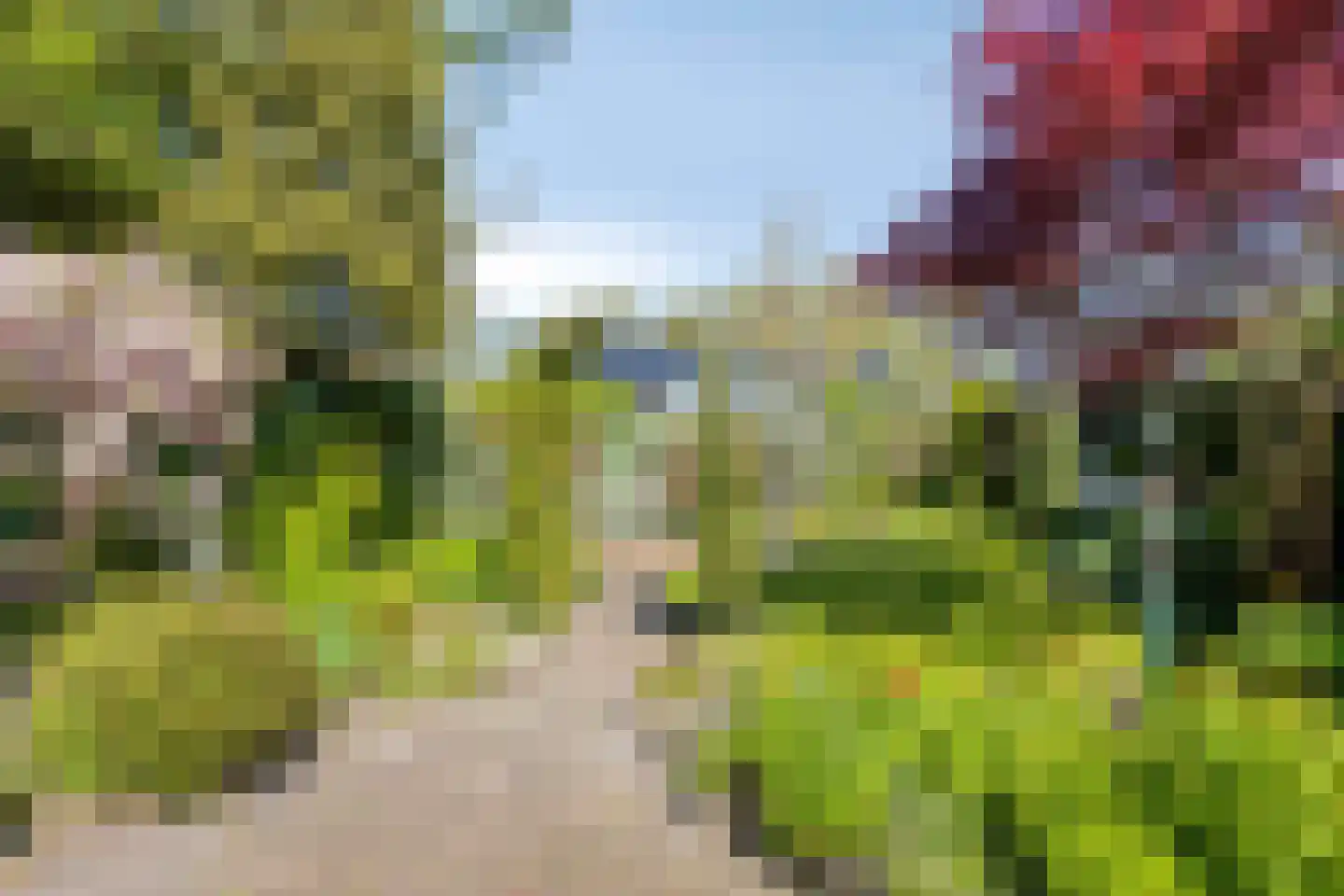 Brederodestraat 30 Castricum thumbnail 24