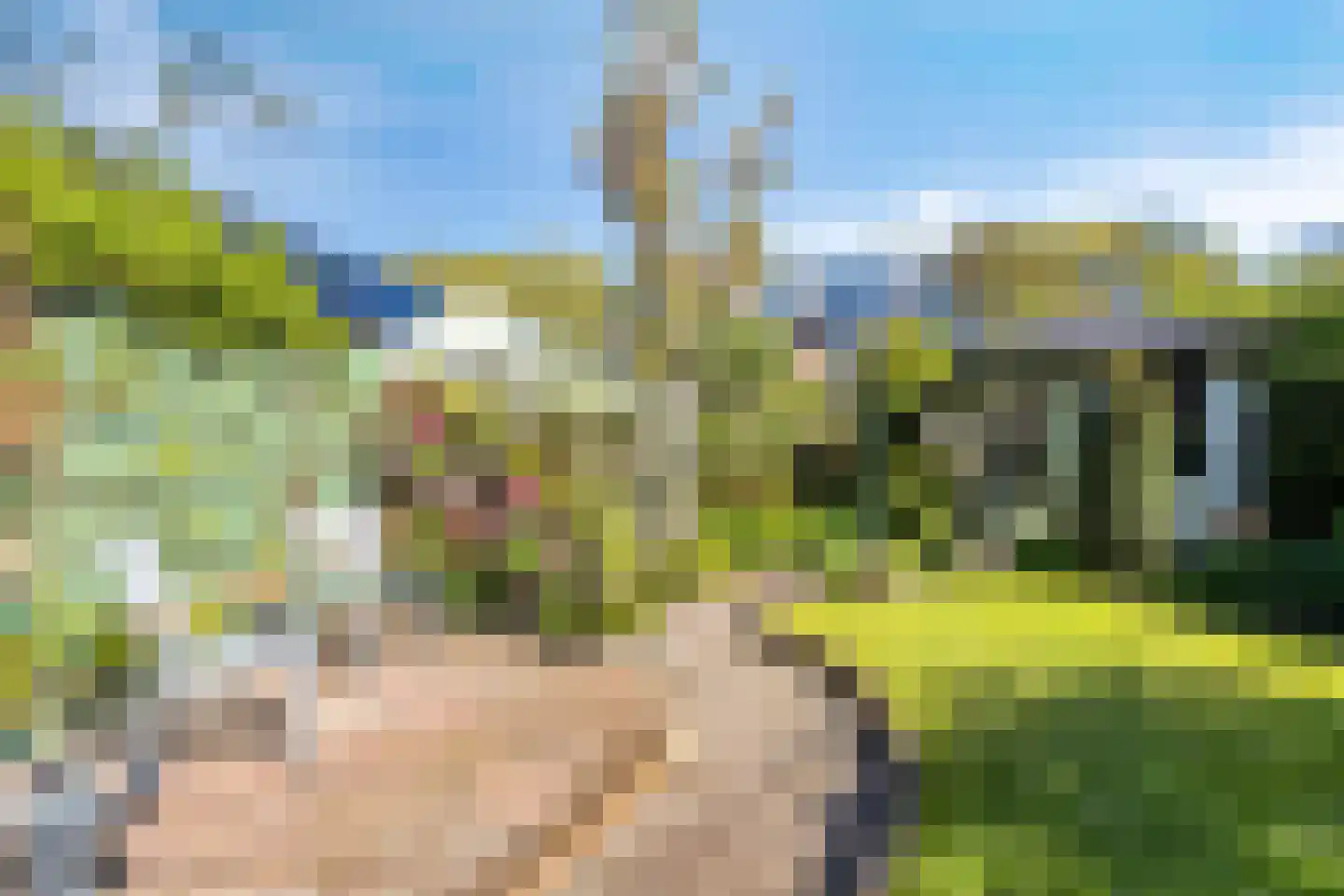 Brederodestraat 30 Castricum thumbnail 25