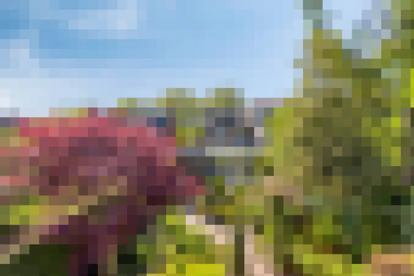 Brederodestraat 30 Castricum thumbnail 27
