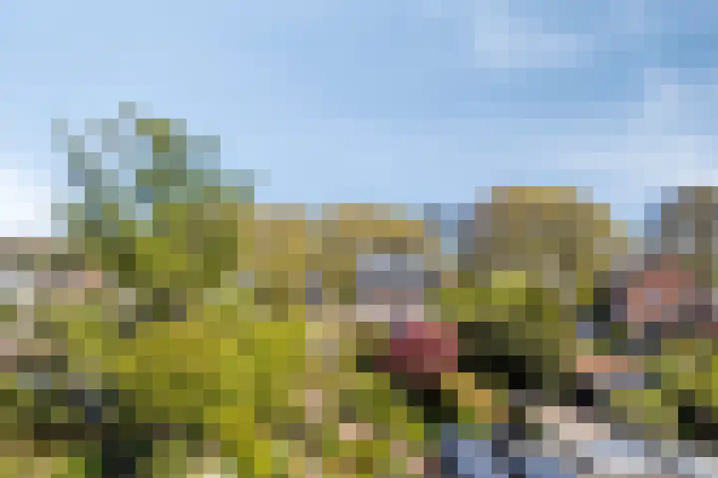 Brederodestraat 30 Castricum thumbnail 28