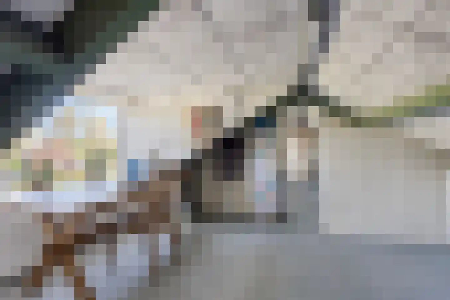 Brederodestraat 30 Castricum thumbnail 35