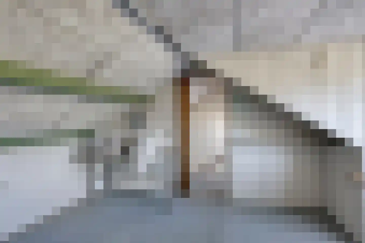 Brederodestraat 30 Castricum thumbnail 37