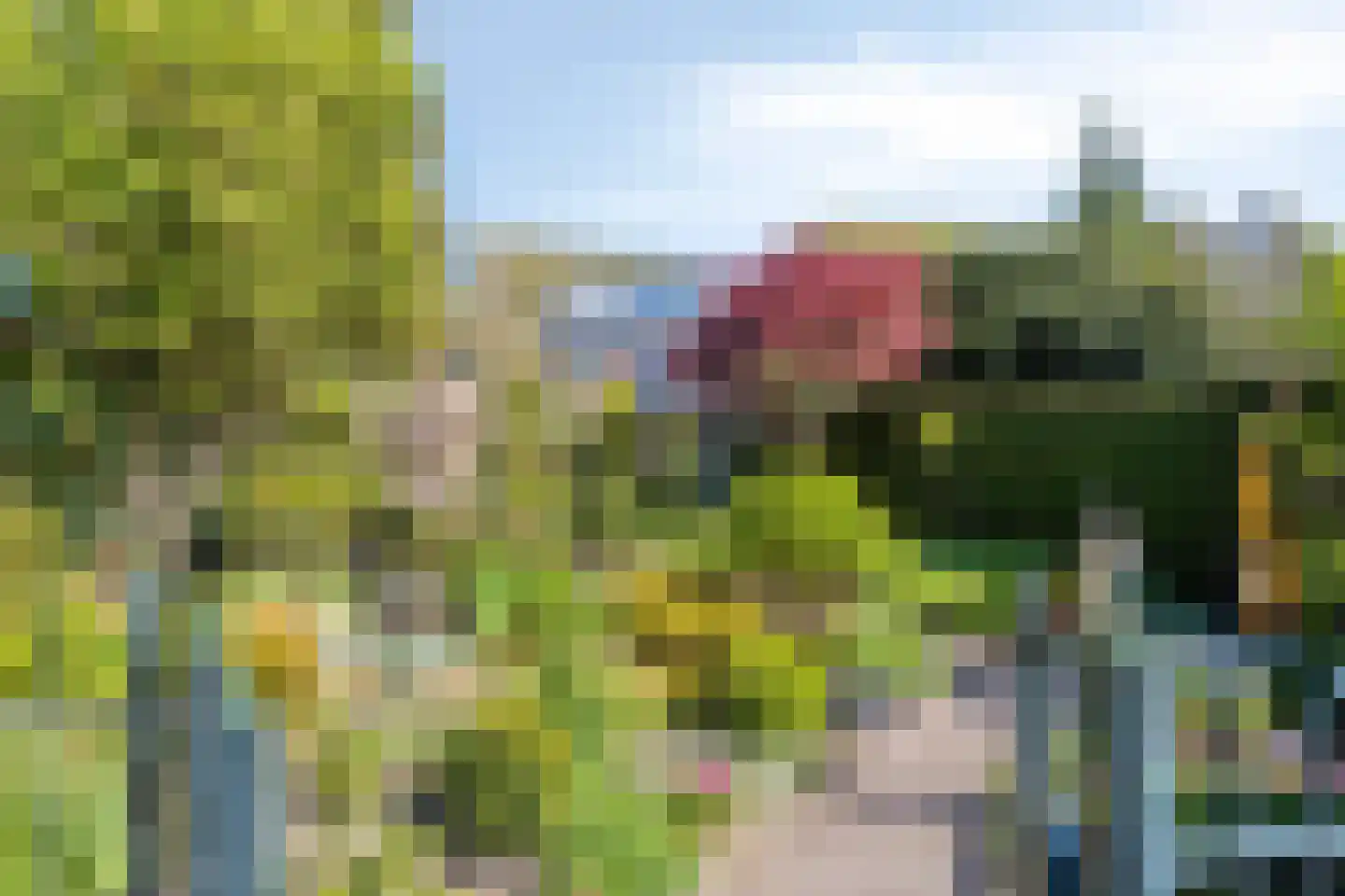 Brederodestraat 30 Castricum thumbnail 4