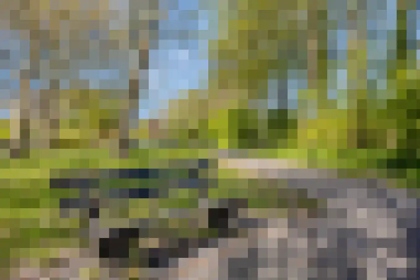 Brederodestraat 30 Castricum thumbnail 42