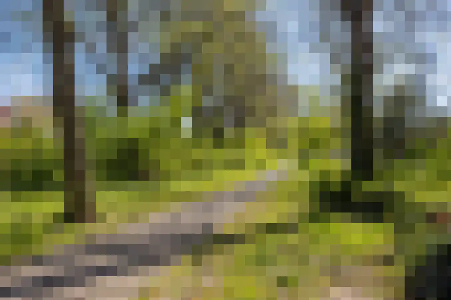 Brederodestraat 30 Castricum thumbnail 43