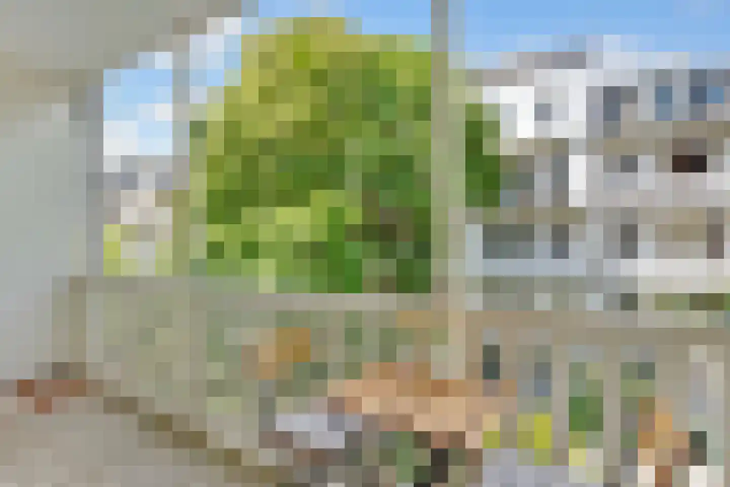 Brederodestraat 32 2 Amsterdam thumbnail 8
