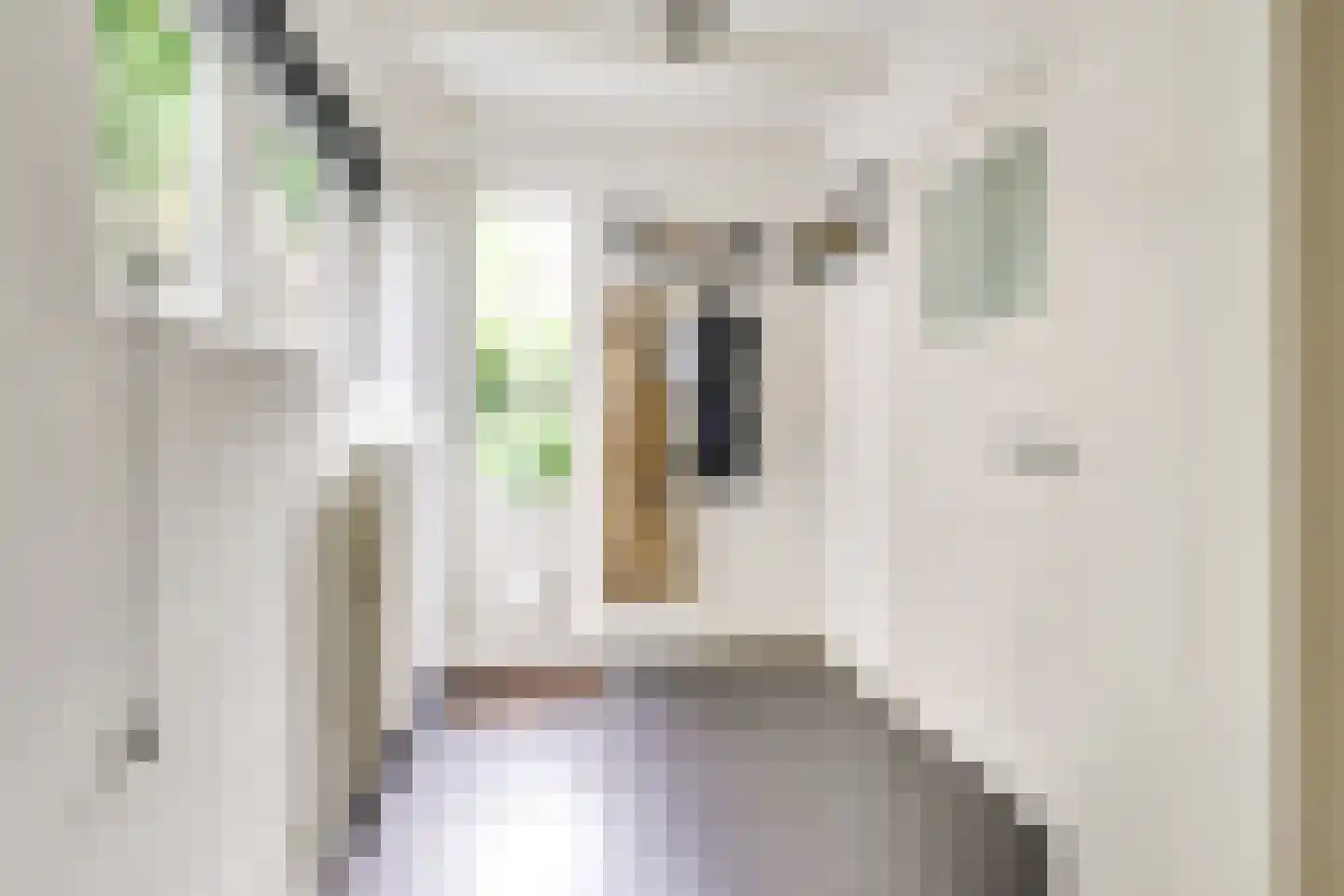 Brederodestraat 32 Vianen thumbnail 20