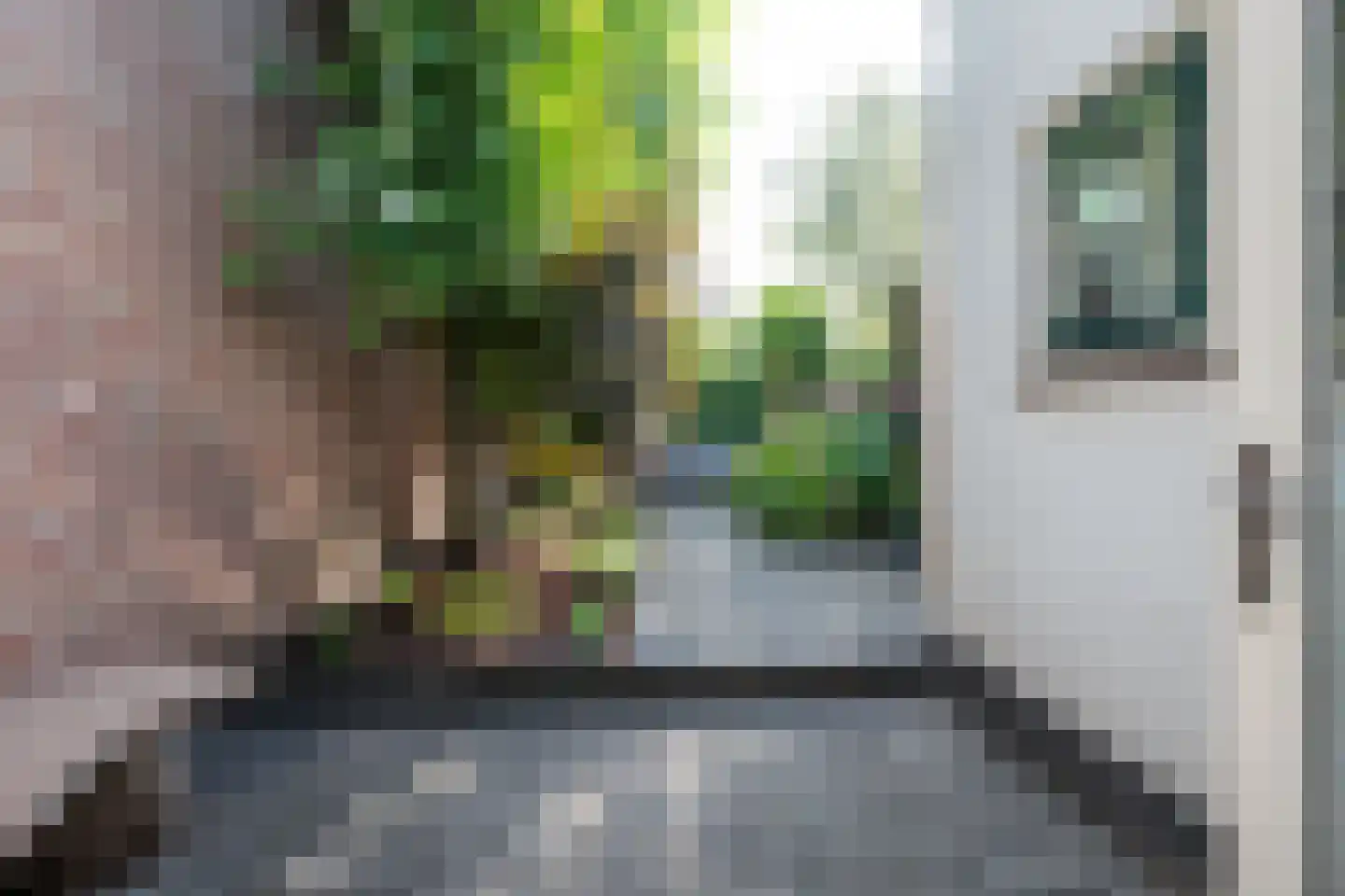 Brederodestraat 32 Vianen thumbnail 44