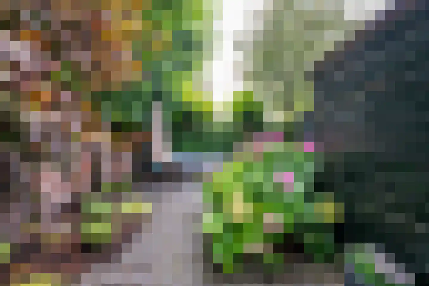 Brederodestraat 32 Vianen thumbnail 45