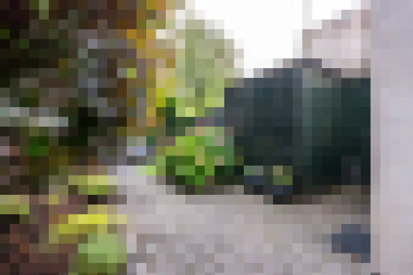 Brederodestraat 32 Vianen thumbnail 48