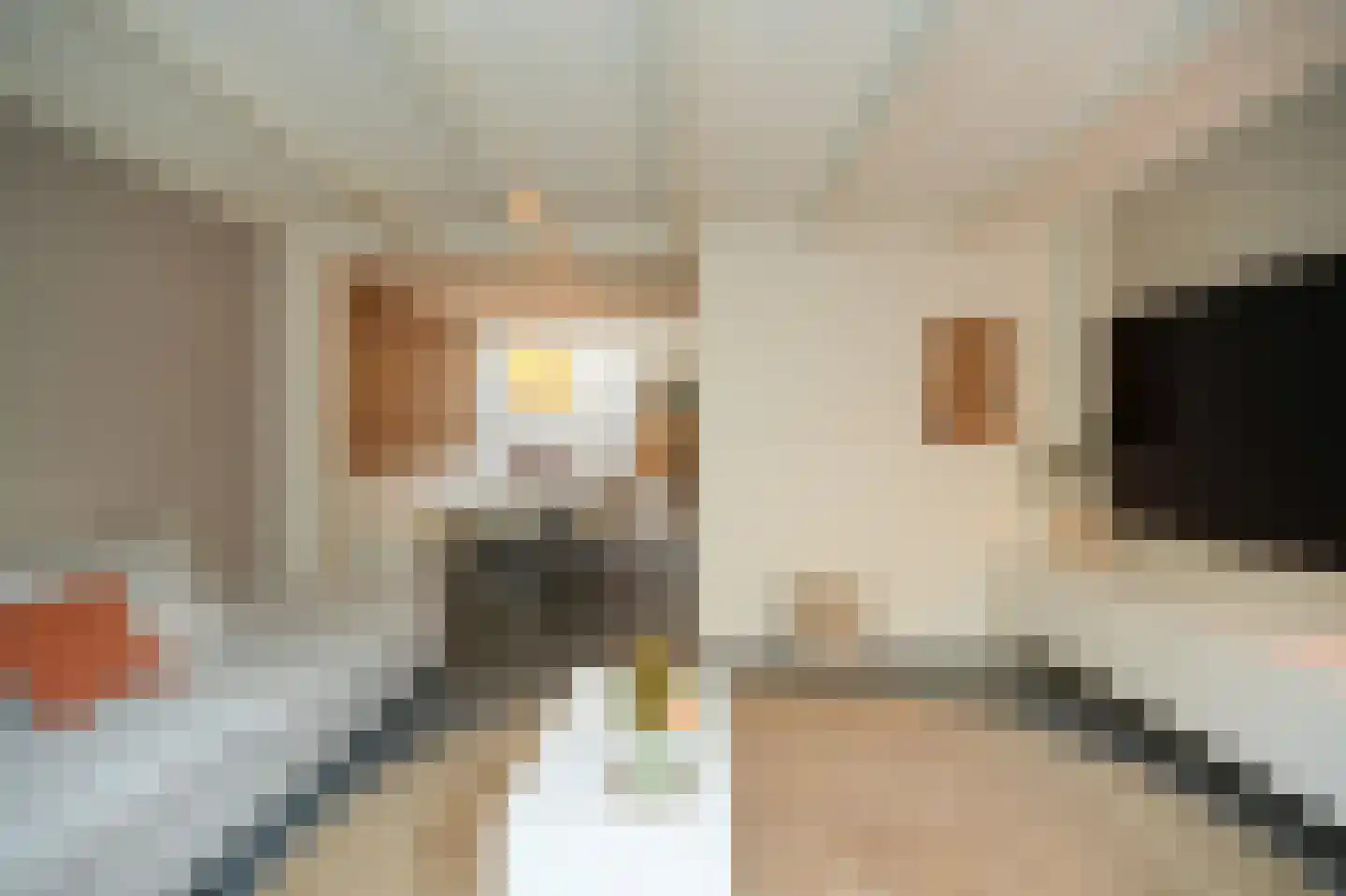 Brederodestraat 34 Vianen thumbnail 15