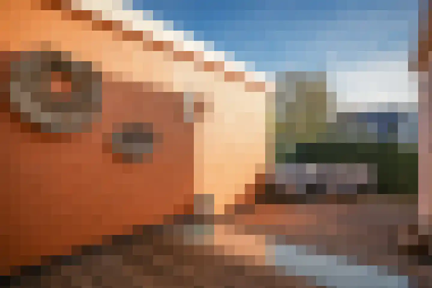 Brederodestraat 34 Vianen thumbnail 5