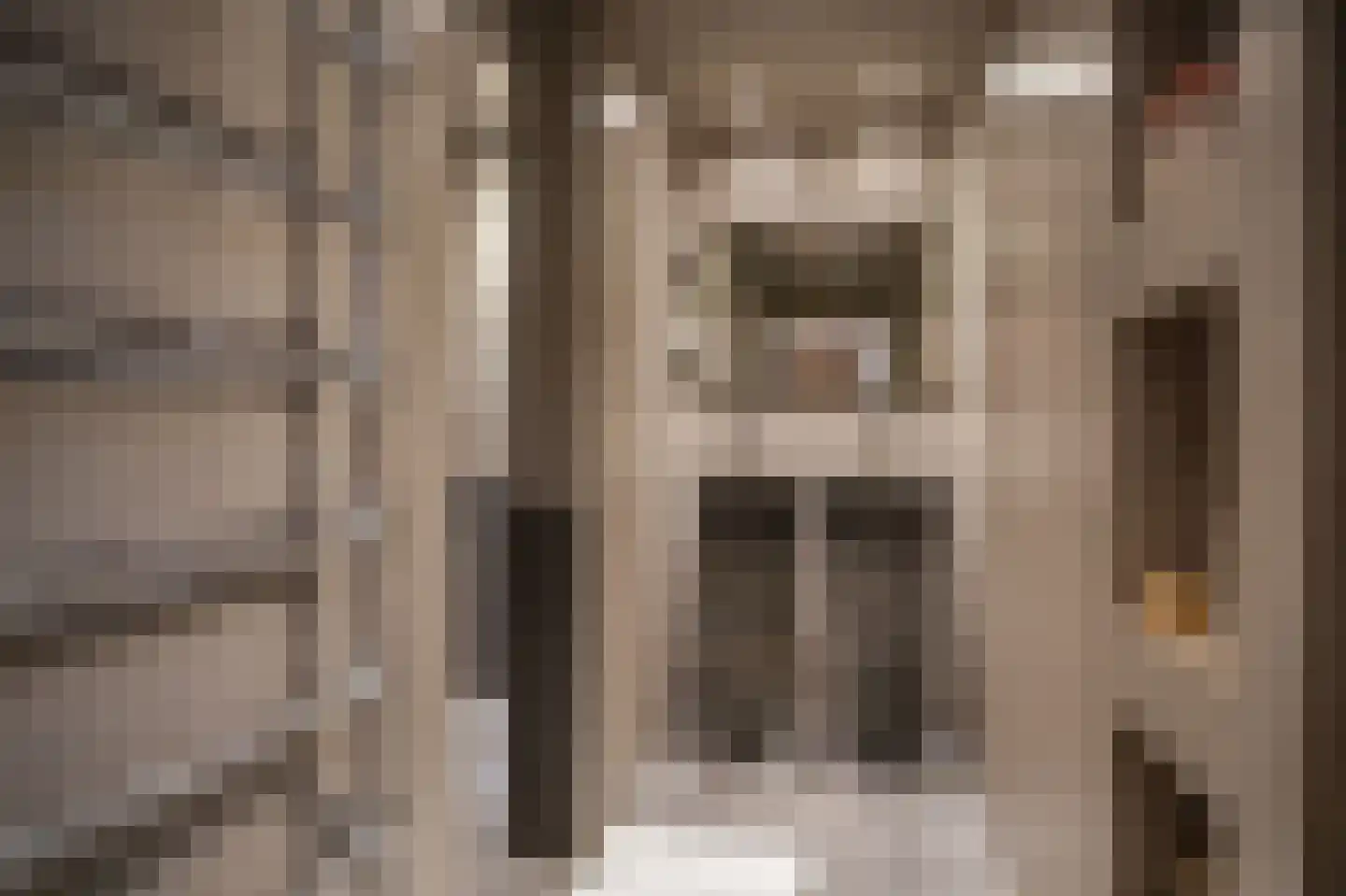 Brederodestraat 34 Vianen thumbnail 8