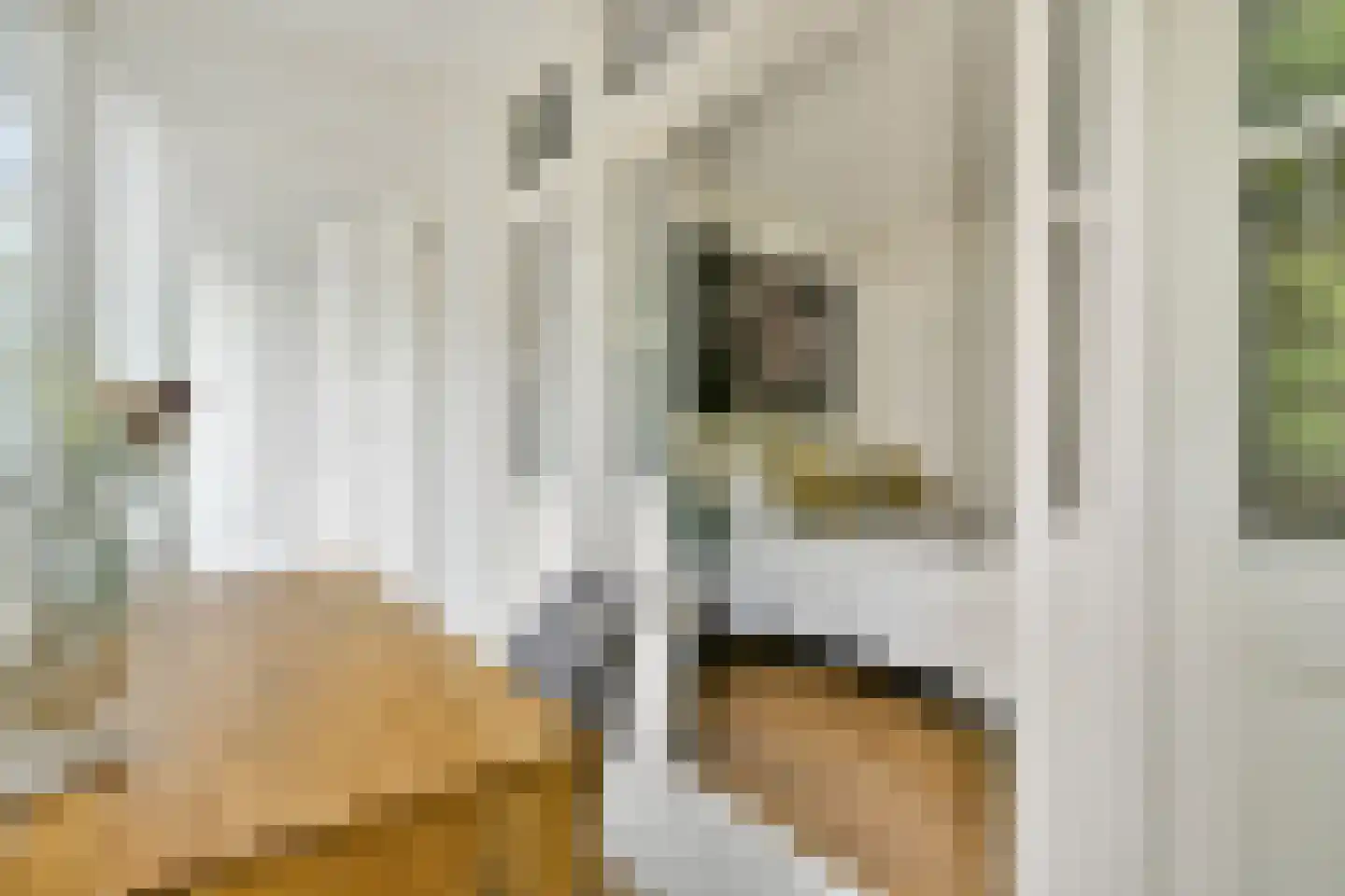 Brederodestraat 36 2 Amsterdam thumbnail 19