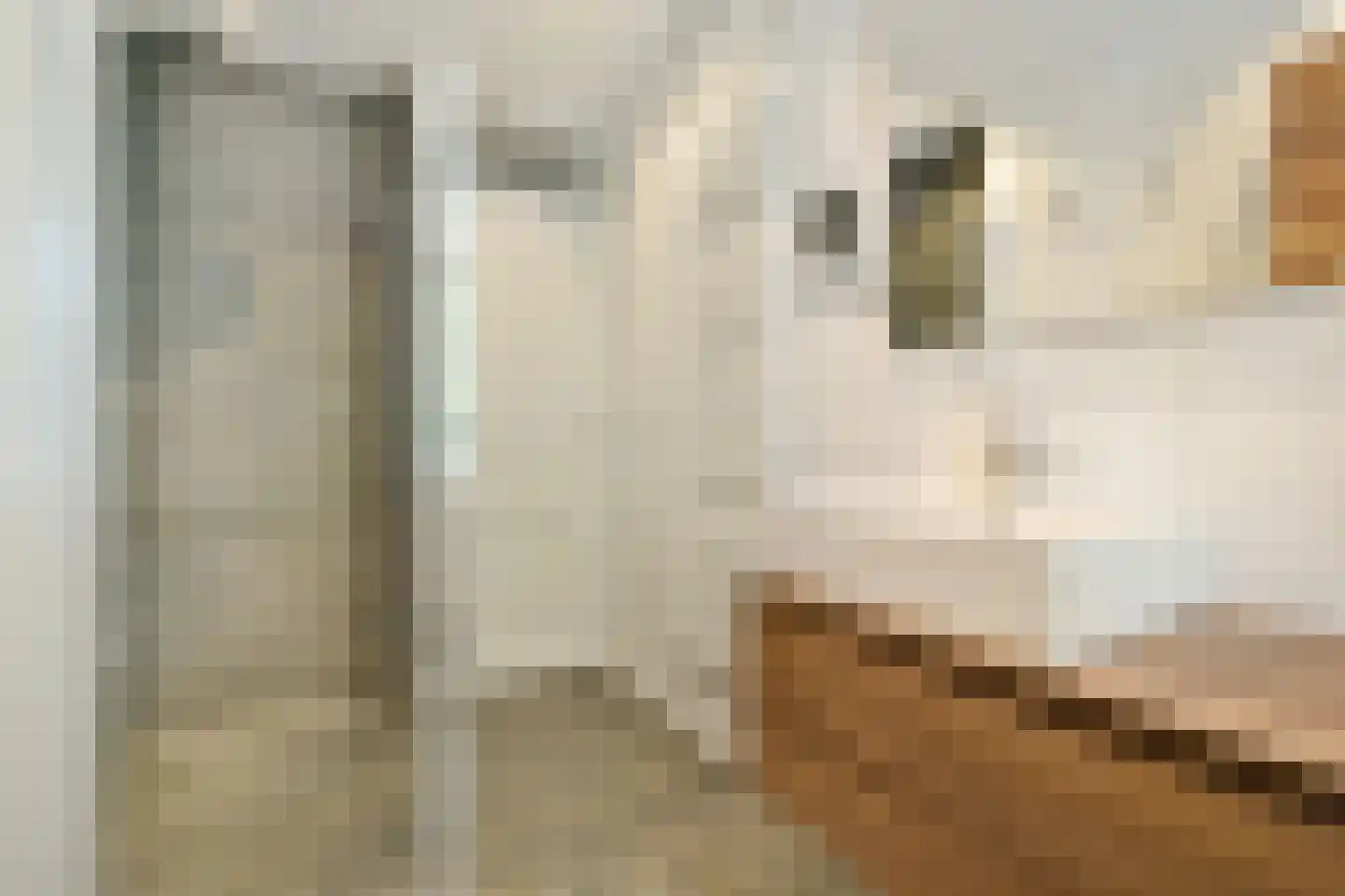 Brederodestraat 36 2 Amsterdam thumbnail 22