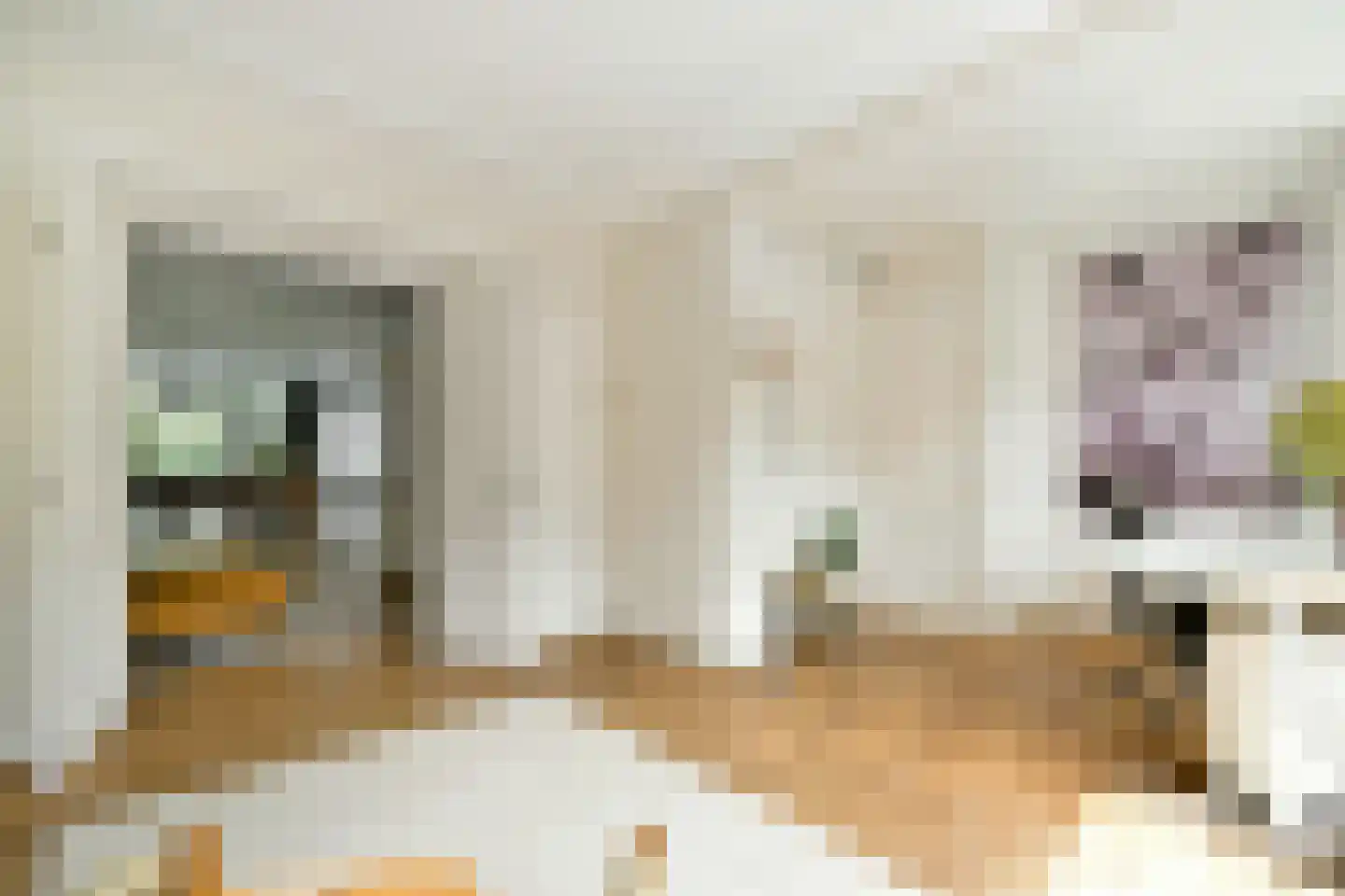 Brederodestraat 36 2 Amsterdam thumbnail 5
