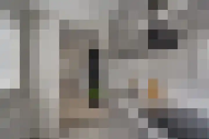 Brederodestraat 46 Vianen thumbnail 10
