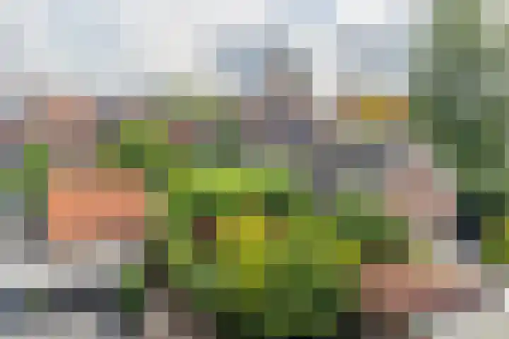 Brederodestraat 46 Vianen thumbnail 24