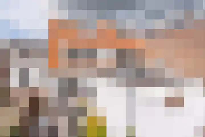 Brederodestraat 46 Vianen thumbnail 30
