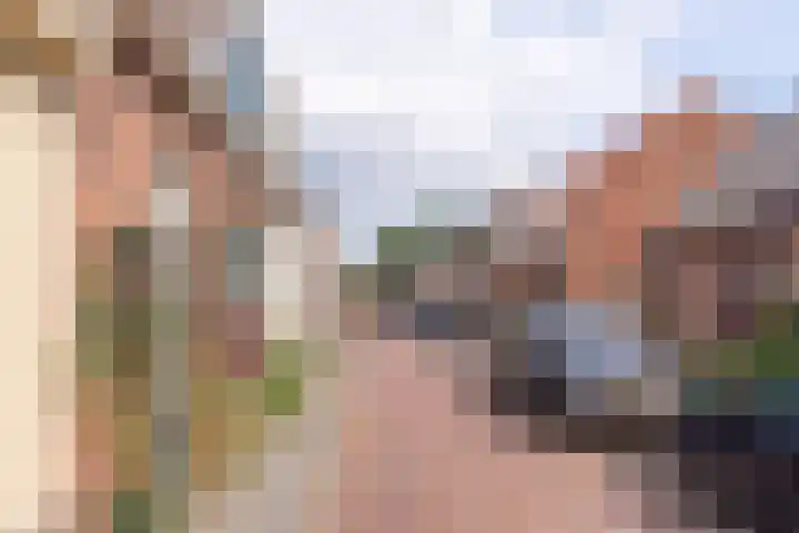 Brederodestraat 46 Vianen thumbnail 33