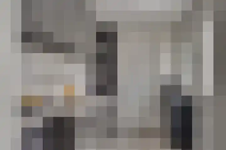 Brederodestraat 46 Vianen thumbnail 7