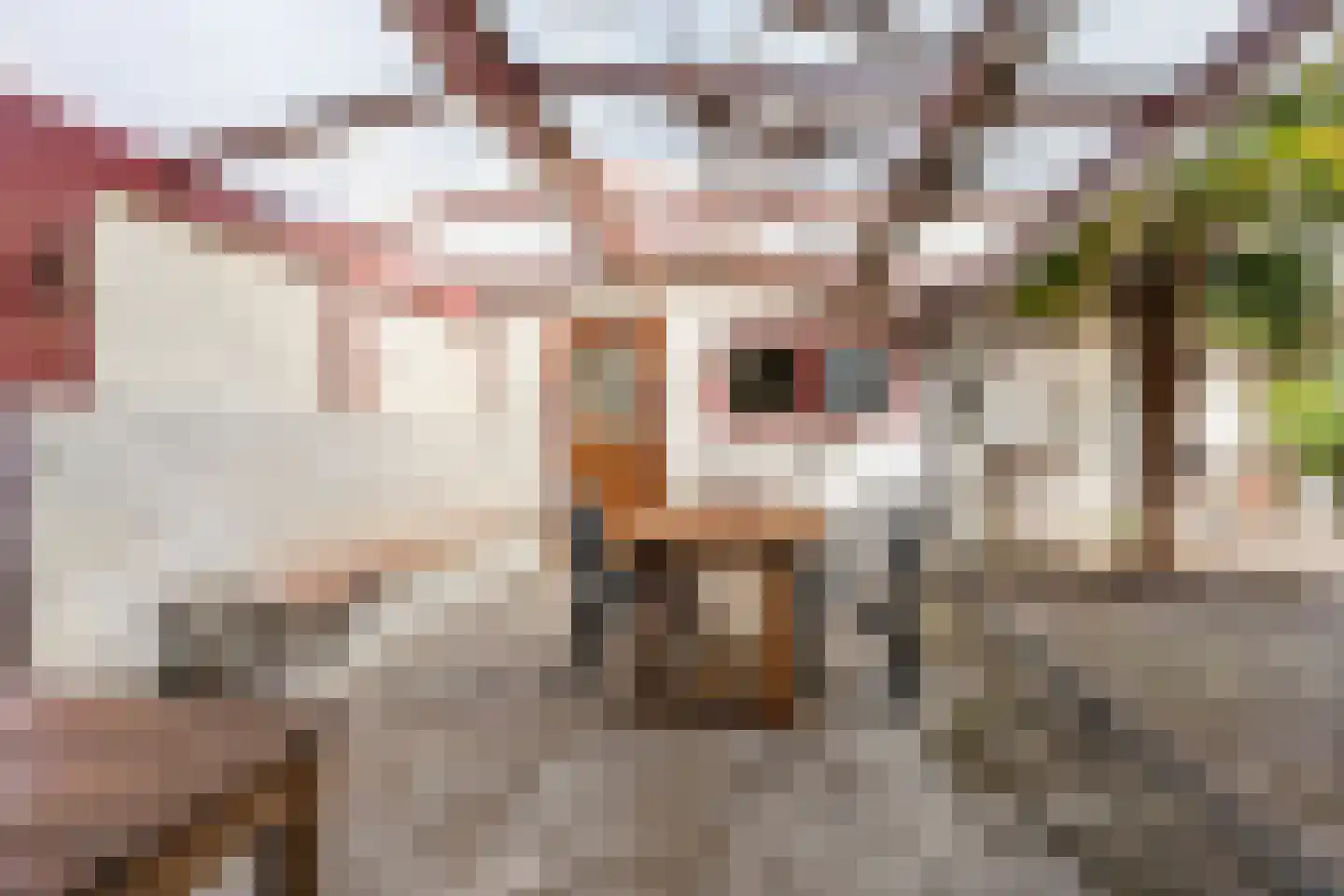 Brederodestraat 48 Vianen thumbnail 24