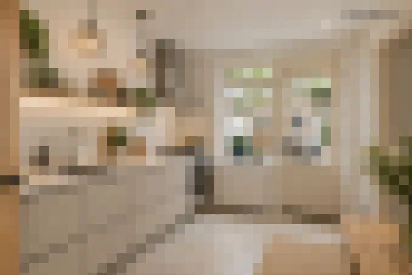 Brederodestraat 48 Vianen thumbnail 4