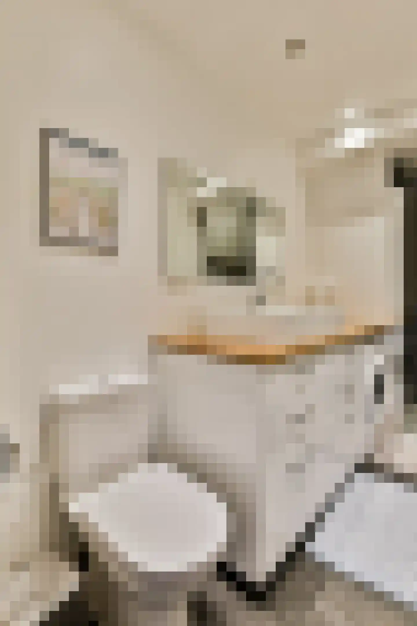 Brederodestraat 49 3 Amsterdam thumbnail 16