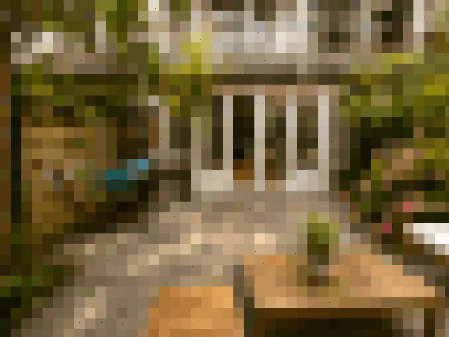 Brederodestraat 49 H Amsterdam thumbnail 10
