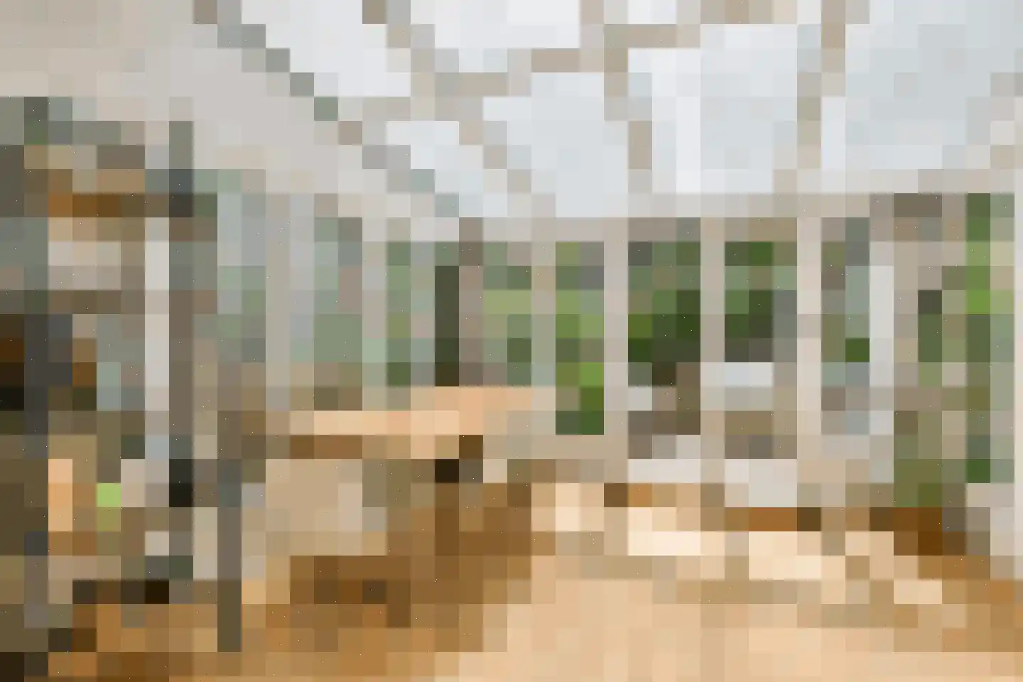 Brederodestraat 49 H Amsterdam thumbnail 4
