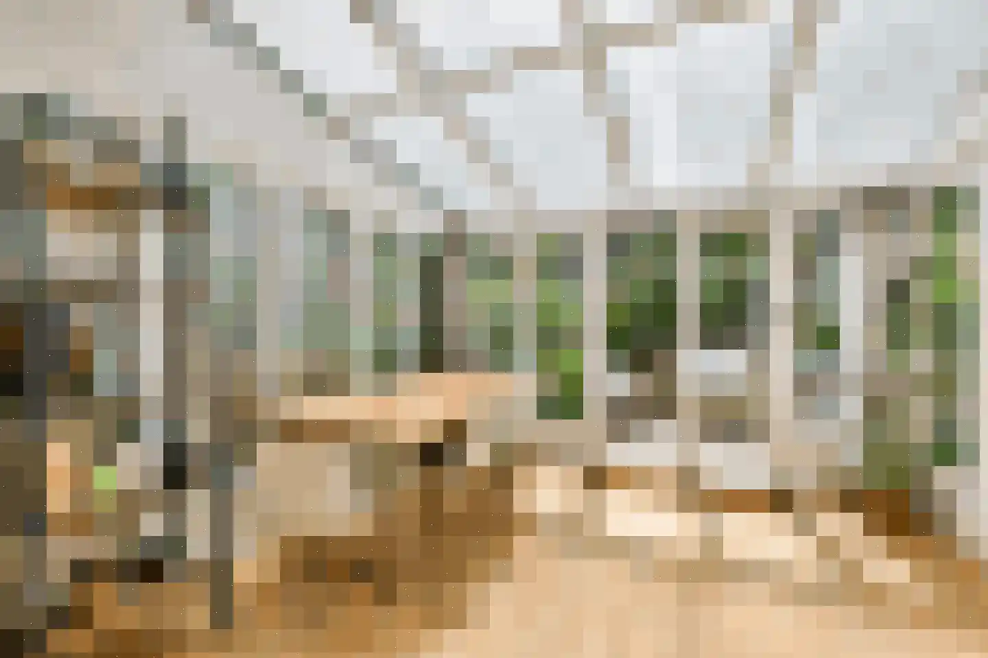 Brederodestraat 49 H Amsterdam thumbnail 5