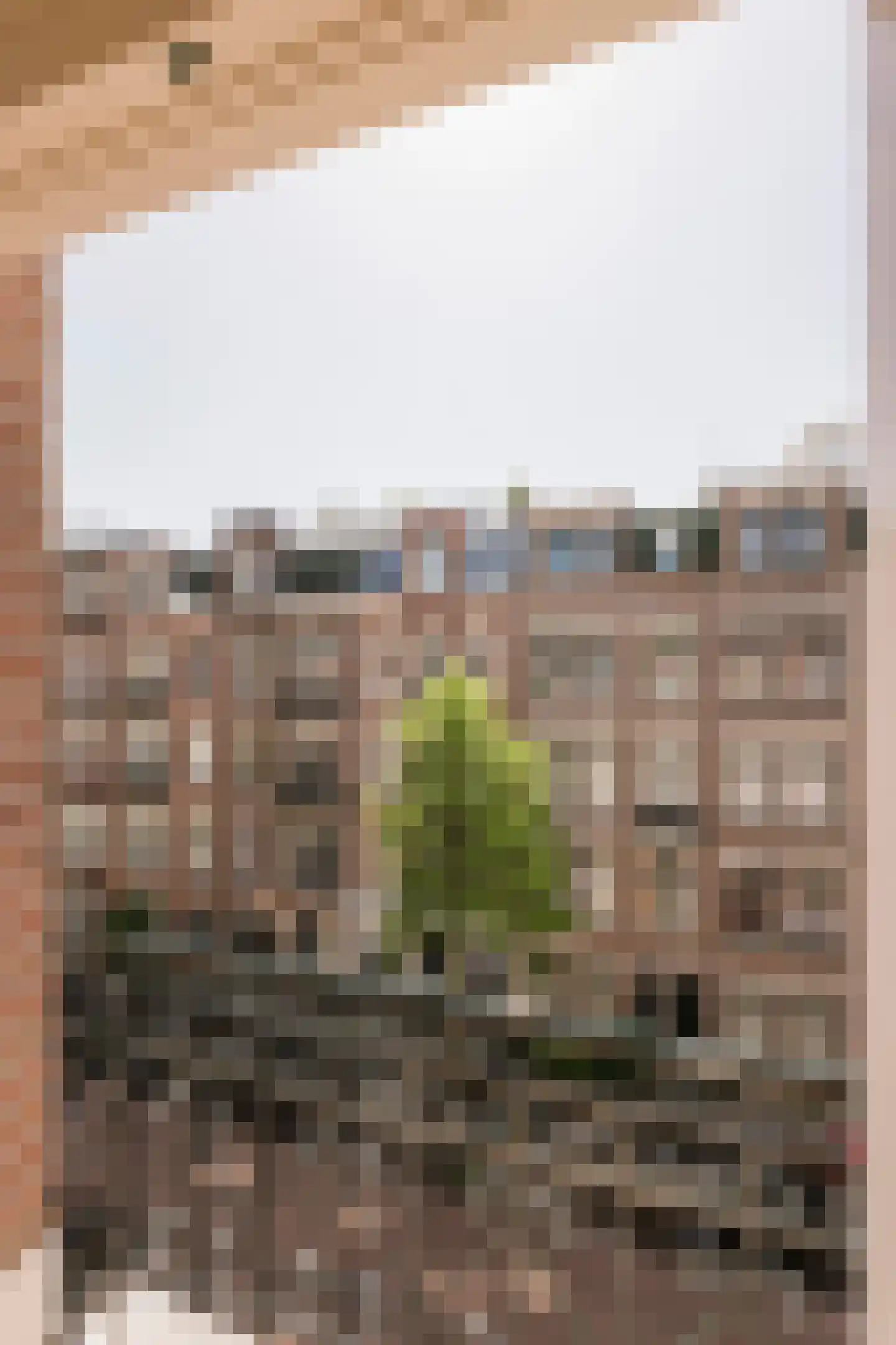 Brederodestraat 56 1 Amsterdam thumbnail 7
