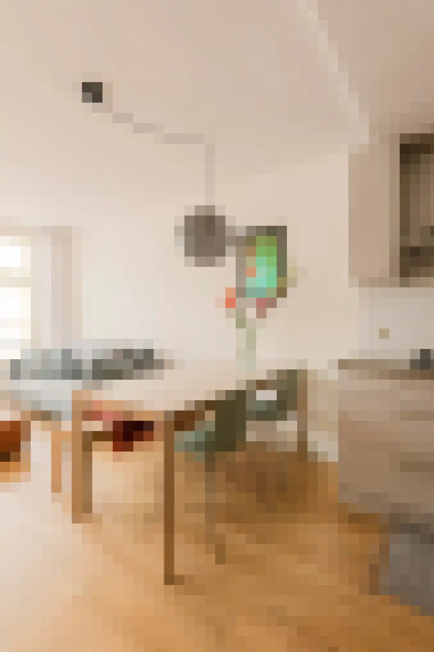 Brederodestraat 56 1 Amsterdam thumbnail 8