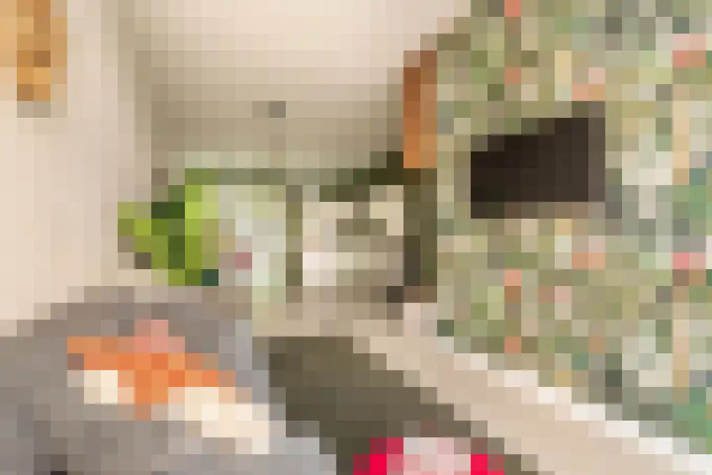 Brederodestraat 57 1 Amsterdam thumbnail 10