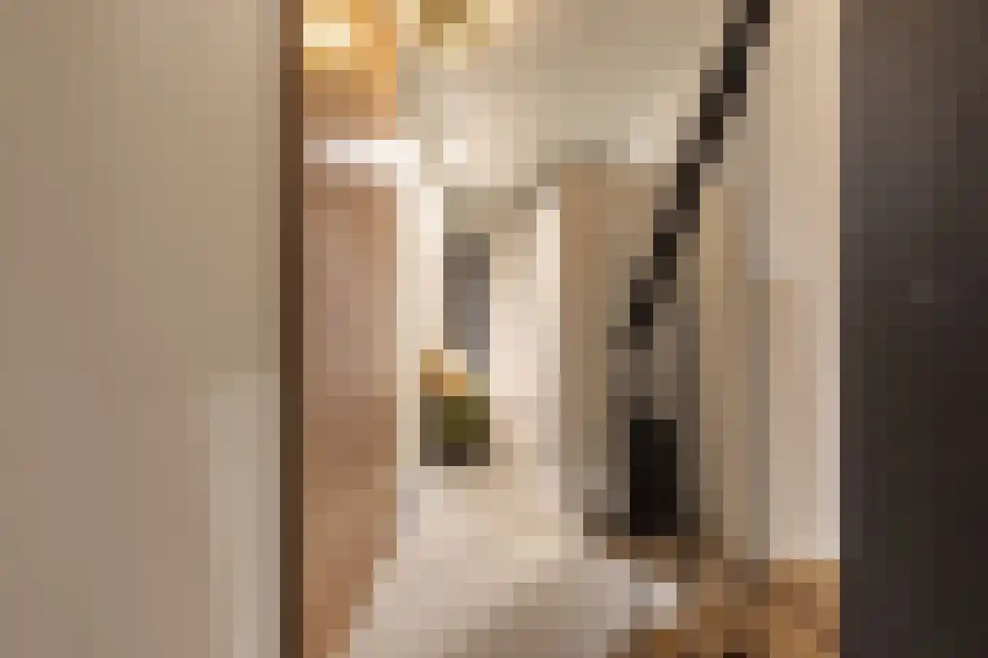 Brederodestraat 57 1 Amsterdam thumbnail 31