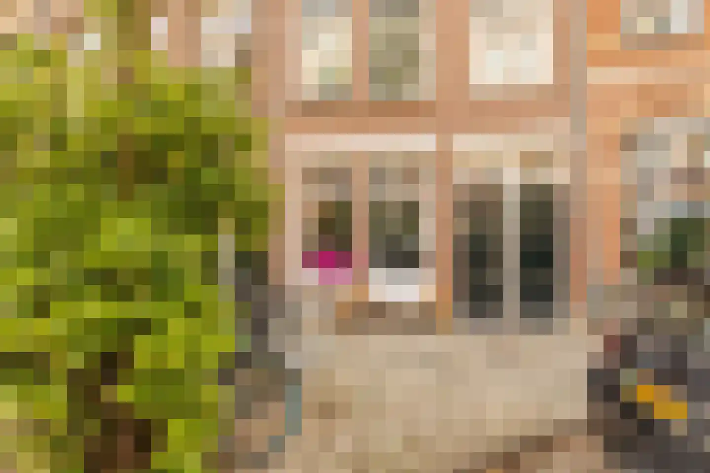 Brederodestraat 57 1 Amsterdam thumbnail 37