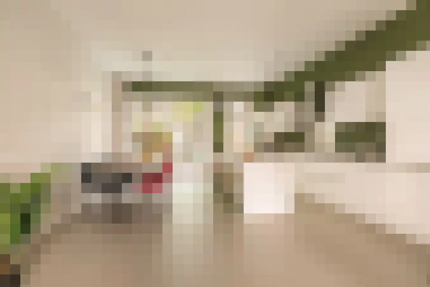 Brederodestraat 57 1 Amsterdam thumbnail 5