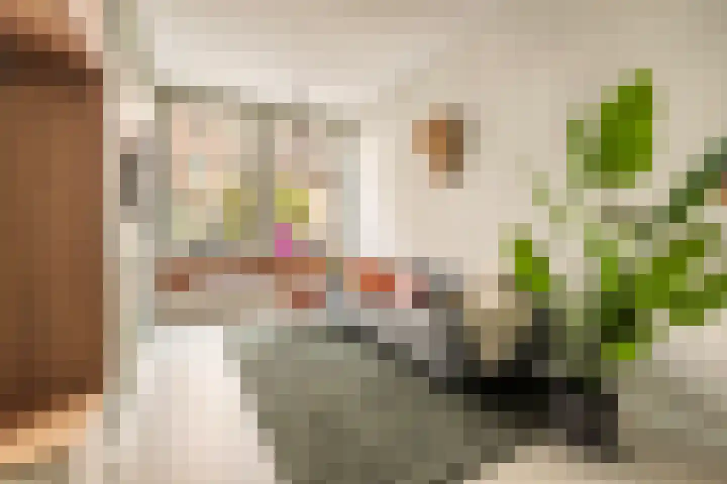 Brederodestraat 57 1 Amsterdam thumbnail 6