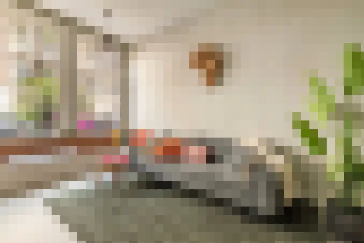 Brederodestraat 57 1 Amsterdam thumbnail 7