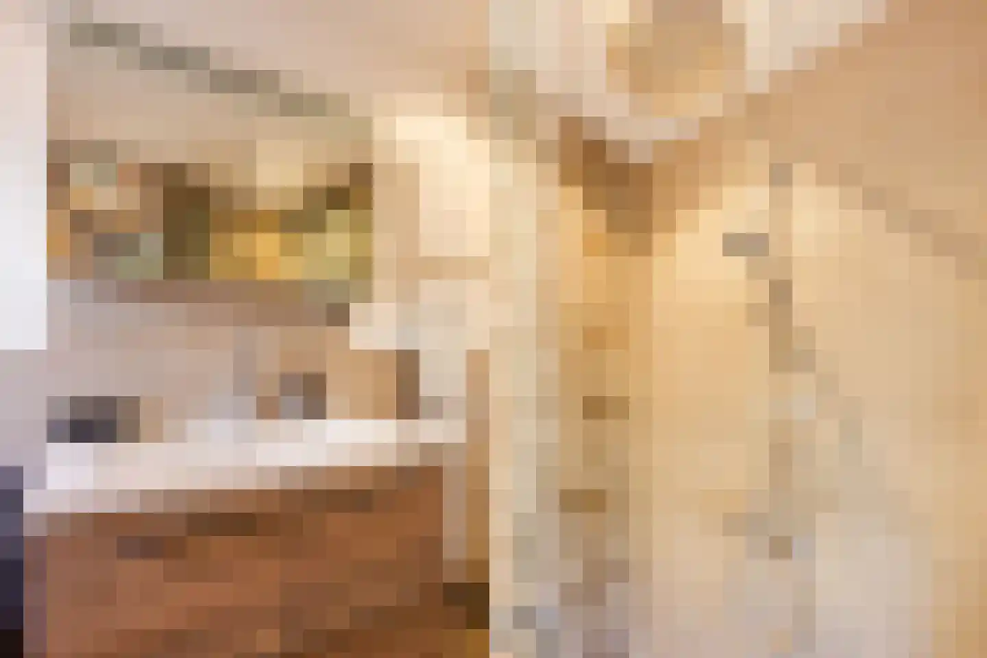 Brederodestraat 65 Zandvoort thumbnail 9