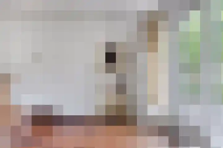 Brederodestraat 7 Son en Breugel thumbnail 11