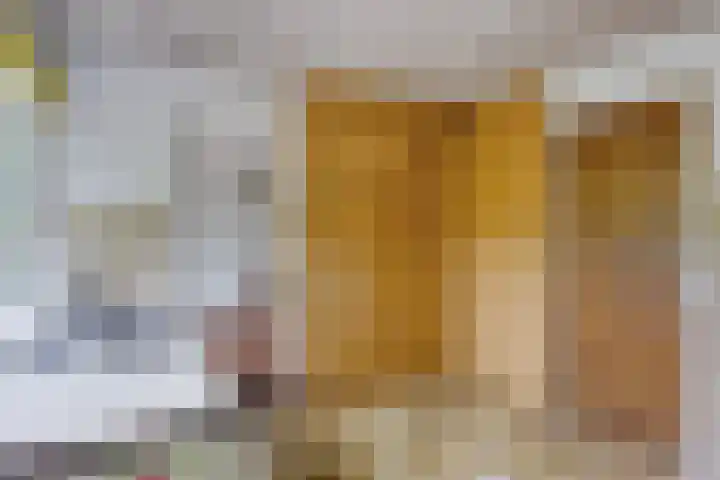 Brederodestraat 7 Son en Breugel thumbnail 12