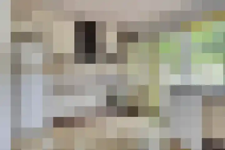 Brederodestraat 7 Son en Breugel thumbnail 13