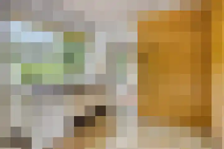 Brederodestraat 7 Son en Breugel thumbnail 14