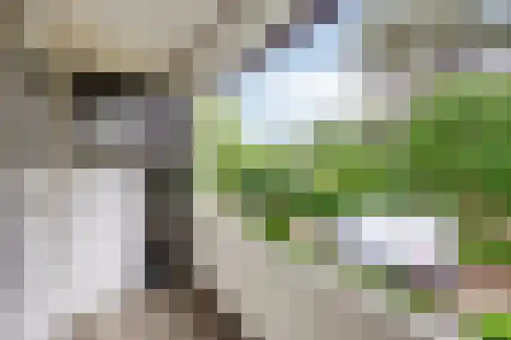 Brederodestraat 7 Son en Breugel thumbnail 27