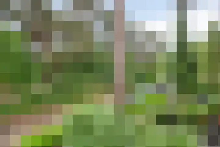 Brederodestraat 7 Son en Breugel thumbnail 28
